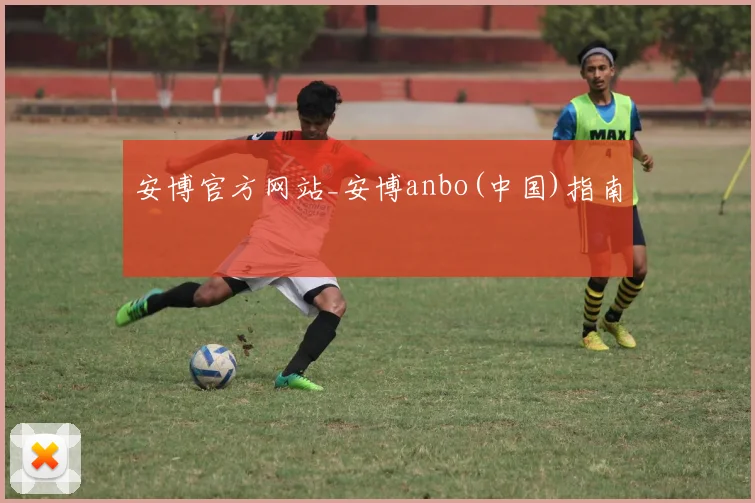 安博官方网站_安博anbo(中国)指南