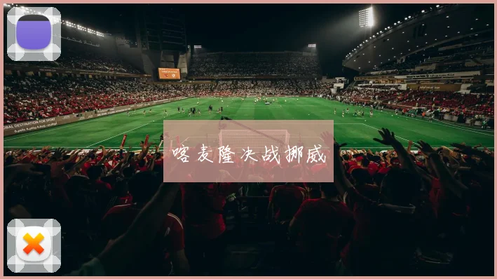 喀麦隆决战挪威