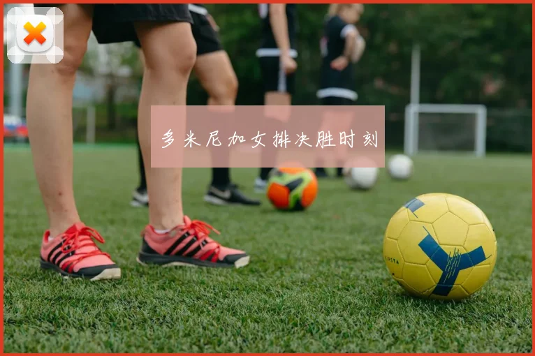 多米尼加女排决胜时刻