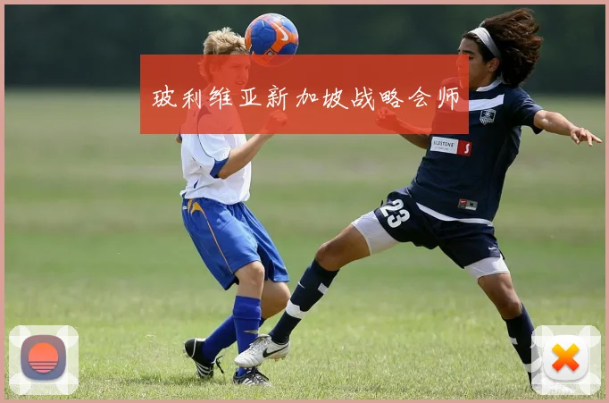 玻利维亚新加坡战略会师