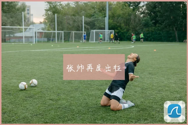 张帅再度出征
