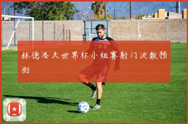 林德洛夫世界杯小组赛射门次数预测