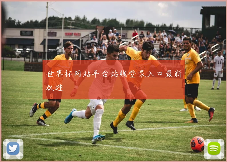 世界杯网站平台站线登录入口最新欢迎
