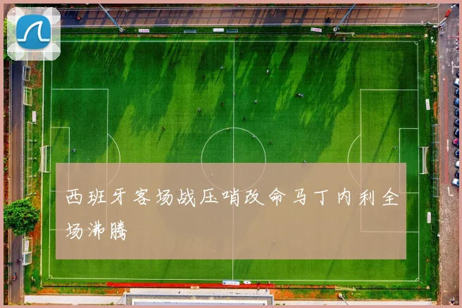 西班牙客场战压哨改命马丁内利全场沸腾